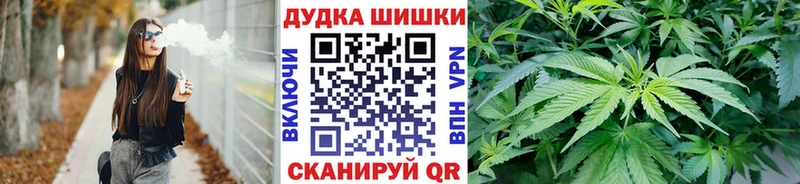Шишки марихуана конопля Иланский