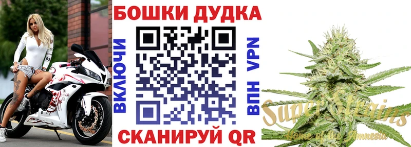 Шишки марихуана планчик  Иланский 
